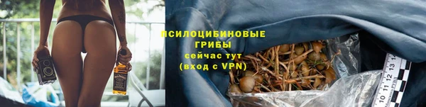 гидропоника Алексеевка